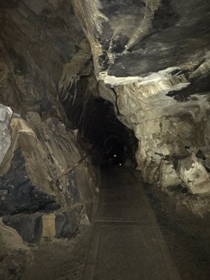 Aillwee Burren Experience by null