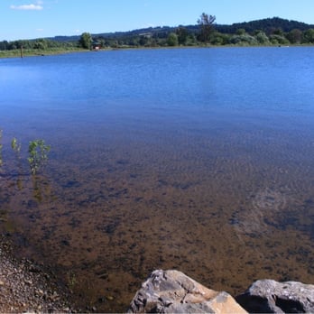 Fernhill Wetlands - How can the water be so clean here? - Hiking Near Me - Forest Grove, Oregon Fernhill Wetlands - How can the water be so clean here? - Hiking Near Me - Forest Grove, Oregon