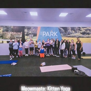 Dogtopia - Our Meowmaste kitties & yoga Saturday morning group photo :) ! - Pet Boarding Near Me - San Antonio, Texas