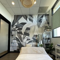eleven esthetics