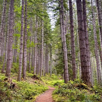 Big Creek Campground - Campgrounds Near Me - Hoodsport, Washington Big Creek Campground - Campgrounds Near Me - Hoodsport, Washington
