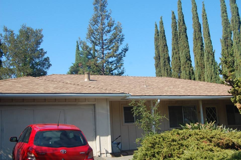 Slide of Limey Roofing