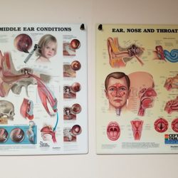 Coastal Carolina Otolaryngology
