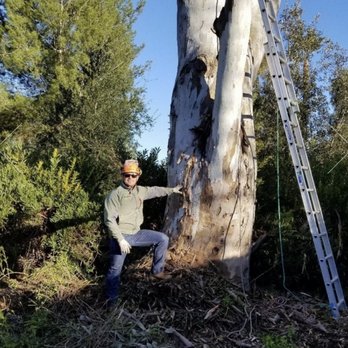 Joel's Tree Service - Contact Joel for any tree service project! - Tree Services Near Me