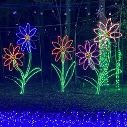 Piney Park