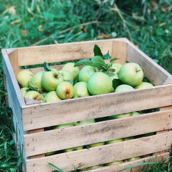 Jefferies Orchard - a wooden crate full of apples - Farmers Market Near Me - Springfield, Illinois Jefferies Orchard - a wooden crate full of apples - Farmers Market Near Me - Springfield, Illinois