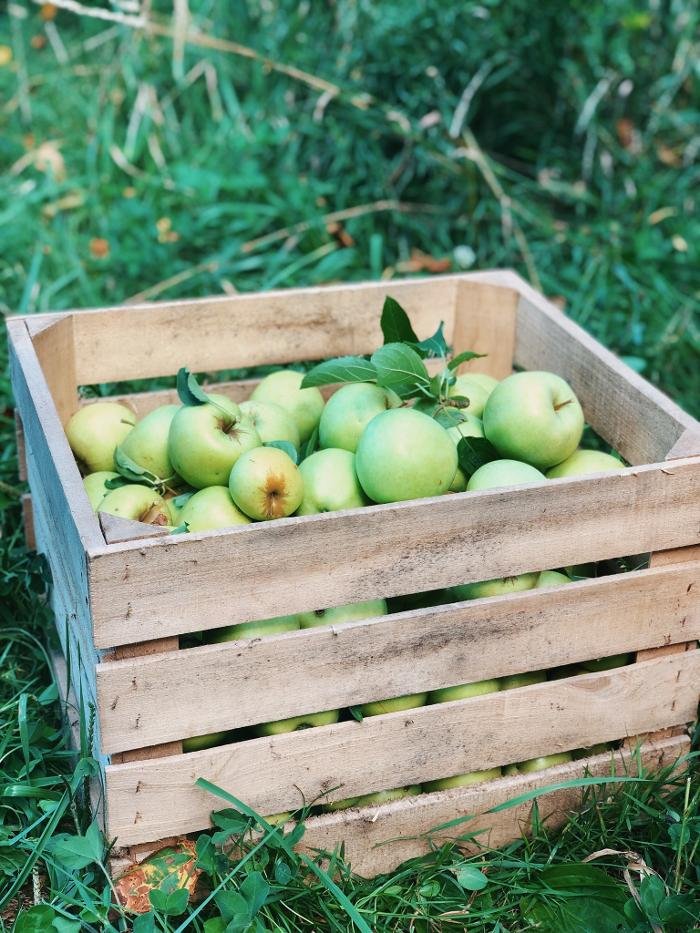 JEFFERIES ORCHARD Updated September 2024 1016 Jefferies Rd, Springfield, Illinois Farmers