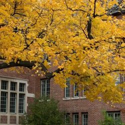Ivy College Essay - Ivy League Admissions Essay Consulting: Brown University