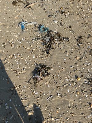 Keansburg Beach by null