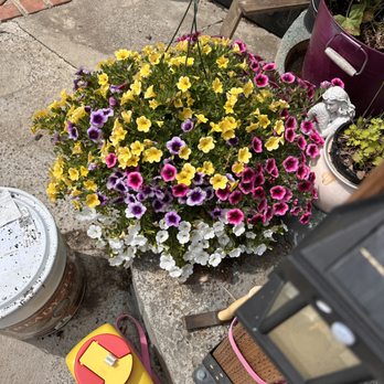 The Plant Warehouse - Nurseries & Gardening Near Me - Roseburg, Oregon