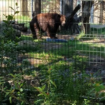Orange County Zoo - He was fun to watch - Zoos Near Me - Orange, California