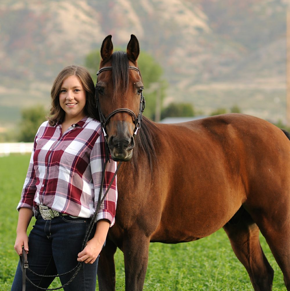 Alpine Performance Horses - equestrian in Saratoga Springs, UT