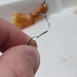 Billy D's Seafood - Metal shaving