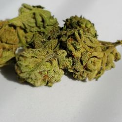 My Guy Deliveries - Mothers Milk Indica 23.2%