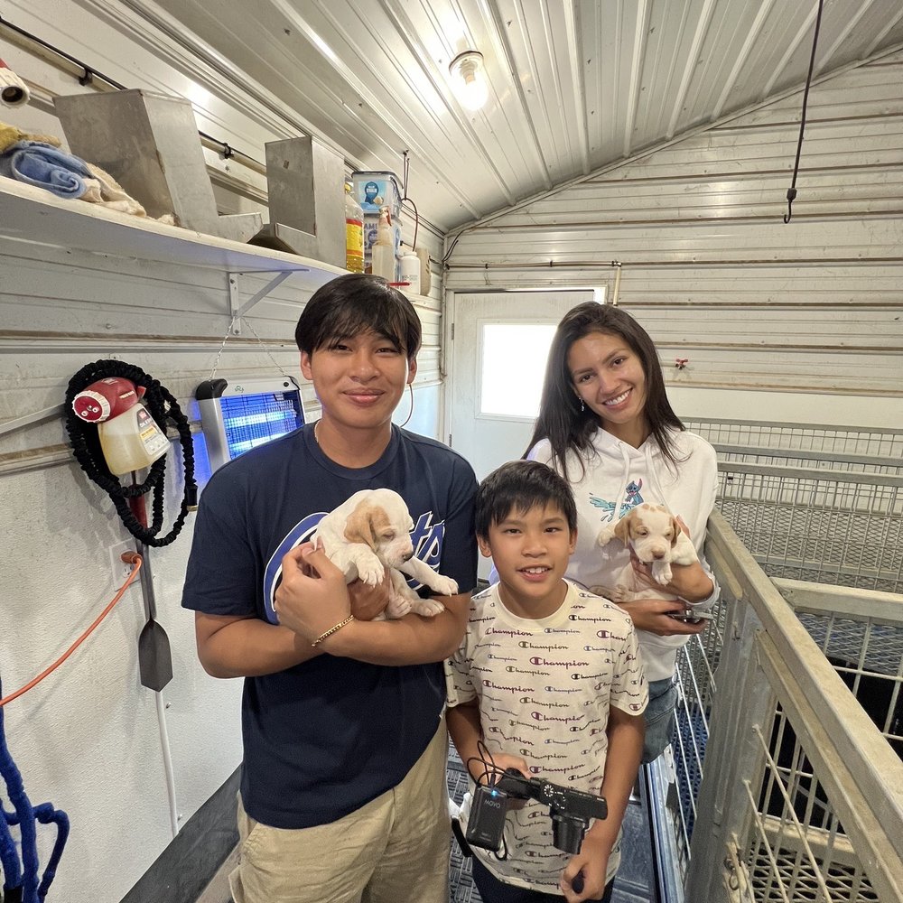 Hackberry Kennels - Pet Breeders Near Me - Shelby, Iowa Hackberry Kennels - Pet Breeders Near Me - Shelby, Iowa