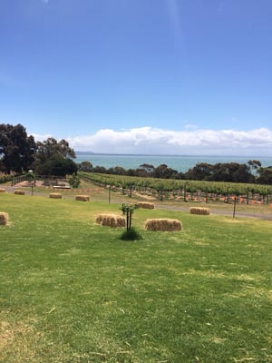 Terindah Estate by null