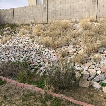 SoCo Landscape Maintenance - Grown weeds - Landscaping Near Me SoCo Landscape Maintenance - Grown weeds - Landscaping Near Me