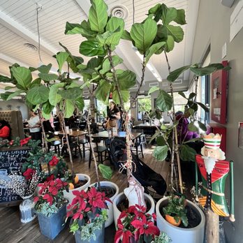 Maple and Cream Restaurant - Breakfast & Brunch Near Me - Plantation, Florida Maple and Cream Restaurant - Breakfast & Brunch Near Me - Plantation, Florida