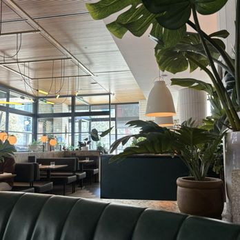 Earls Kitchen + Bar - Cocktail Bars Near Me - Plano, Texas