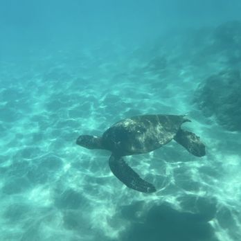 Slaughterhouse Beach - Beaches Near Me - Lahaina, Hawaii