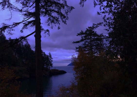 Doe Bay Resort & Retreat by null