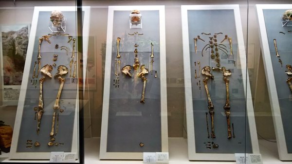 Okinawa Prefectural Museum and Art Museum (Okimyu) by null