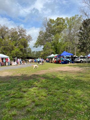 Sea Island Farmers Market by null