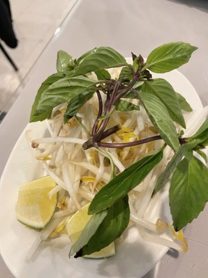 Pho Bac by null