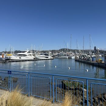Fish - View - Seafood Near Me - Sausalito, California