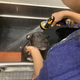 Bath tub Bath tub