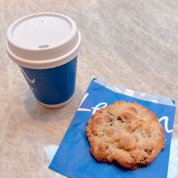 Chocolate Chip Walnut Cookie