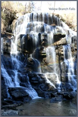 Yellow Branch Falls by null