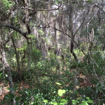 P Phillips Community Park - Awesome walking trail - Dog Parks Near Me - Orlando, Florida