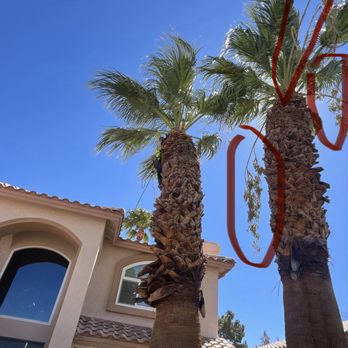 Islandscapes - Landscaping Near Me - Las Vegas, Nevada Islandscapes - Landscaping Near Me - Las Vegas, Nevada