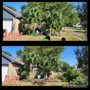 Photo of LAS Landscaping and Maintenance