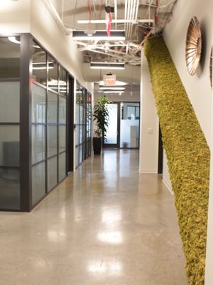 VENTURE X CHARLOTTE - THE REFINERY - 17 Photos - 1213 W Morehead St