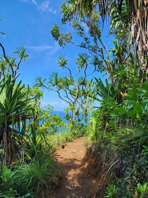 Ha'ena State Park by null