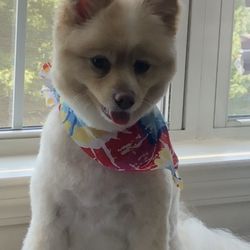 He Says She Says Hair Studio - Jaxon is my mascot. Fresh cut,  cool scarf, and just waiting to meet you guys!