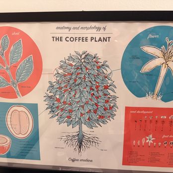 Coava Coffee Roasters - Coffee Roasteries Near Me - Portland, Oregon Coava Coffee Roasters - Coffee Roasteries Near Me - Portland, Oregon