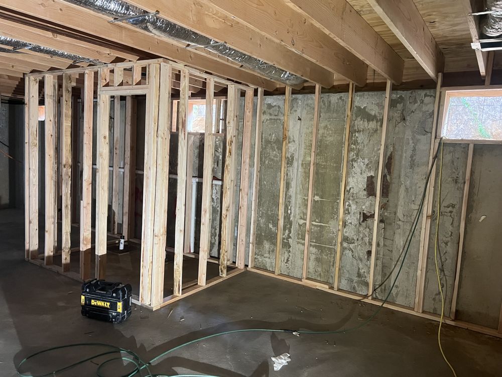 Slide of Shiraz Alli