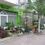 Photo of La Rose des Vents
