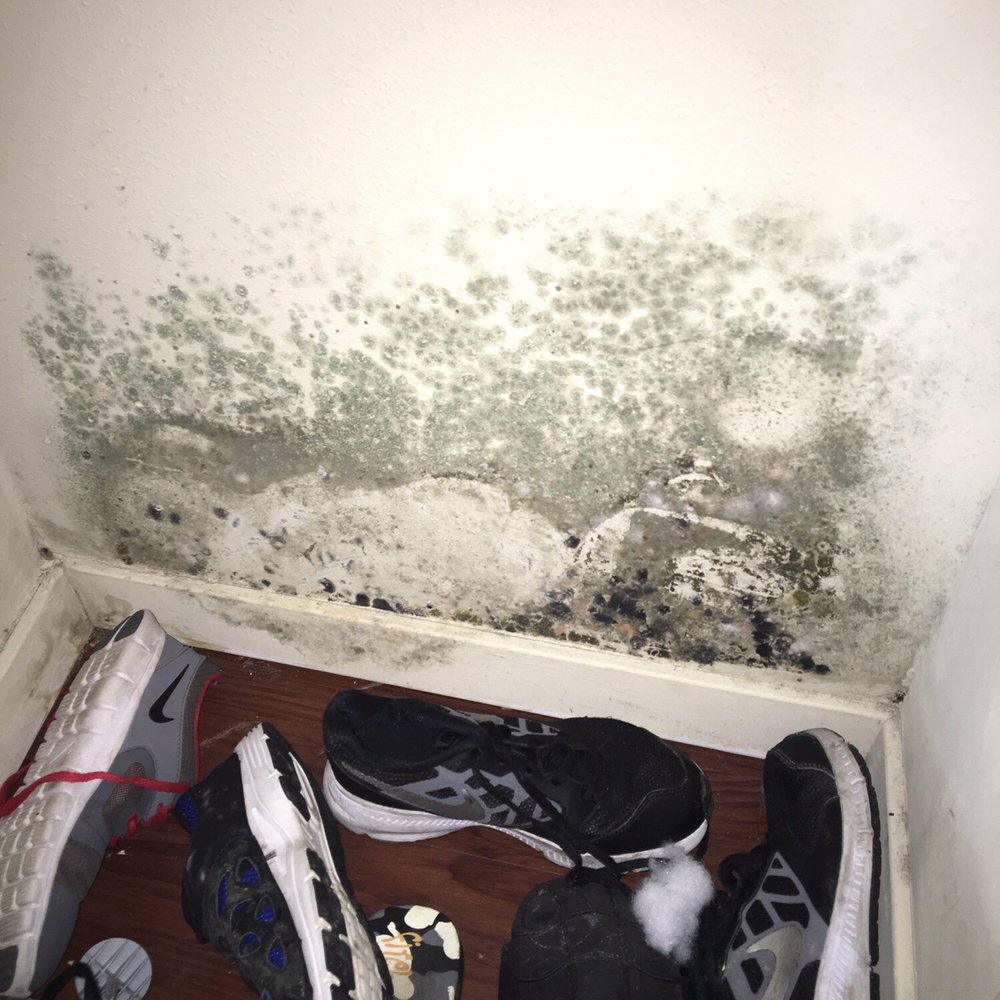 Yay mold in my sons closet!!! Been asking for it to be fixed for 6 months.....they will probably just paint over it! Yay mold in my sons closet!!! Been asking for it to be fixed for 6 months.....they will probably just paint over it!