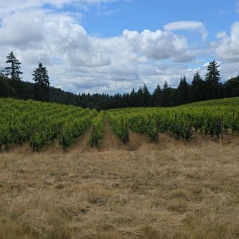 Alexana Winery - Wineries Near Me - Newberg, Oregon