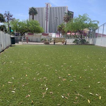 Circusland Rv Park - Dog park - RV Parks Near Me - Las Vegas, Nevada