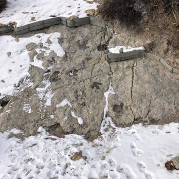 Dinosaur Ridge - Museums Near Me - Morrison, Colorado Dinosaur Ridge - Museums Near Me - Morrison, Colorado