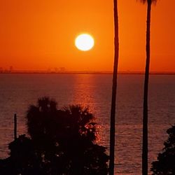 Tocobaga Tours - Amanecer.
