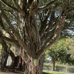 Water Oaks Park