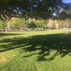 Swanny City Park - Grassy area