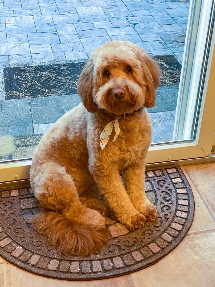 CARUSO’S CENTRAL BARK 14 Photos & 11 Reviews 675 Stokes Rd, Medford