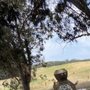 Photo of Dirty Dozen Race